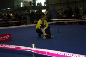 img_9113.jpg