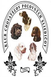 logo.jpg