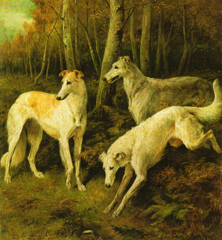 9a