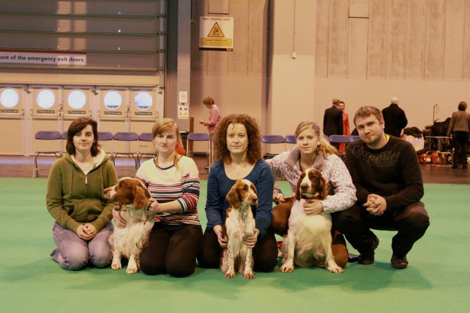 crufts