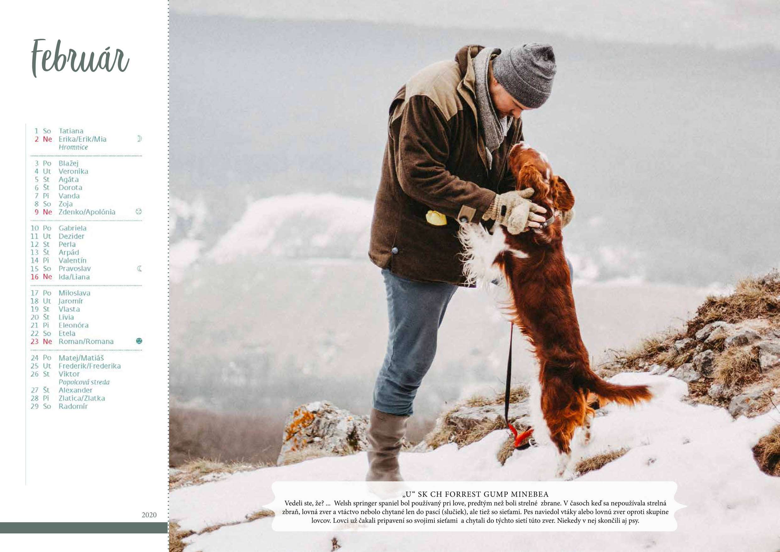 februar web