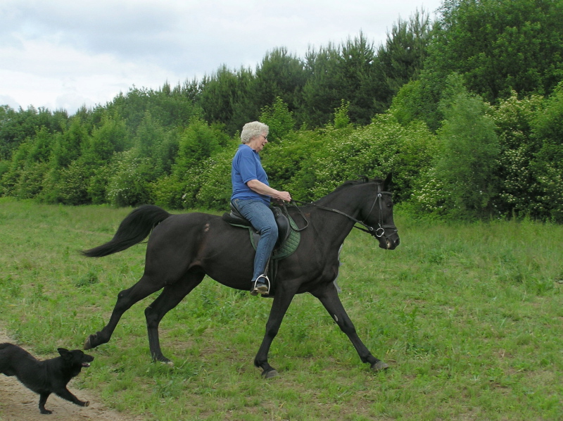 Julie_riding_Darius_Slovakia0004.jpg