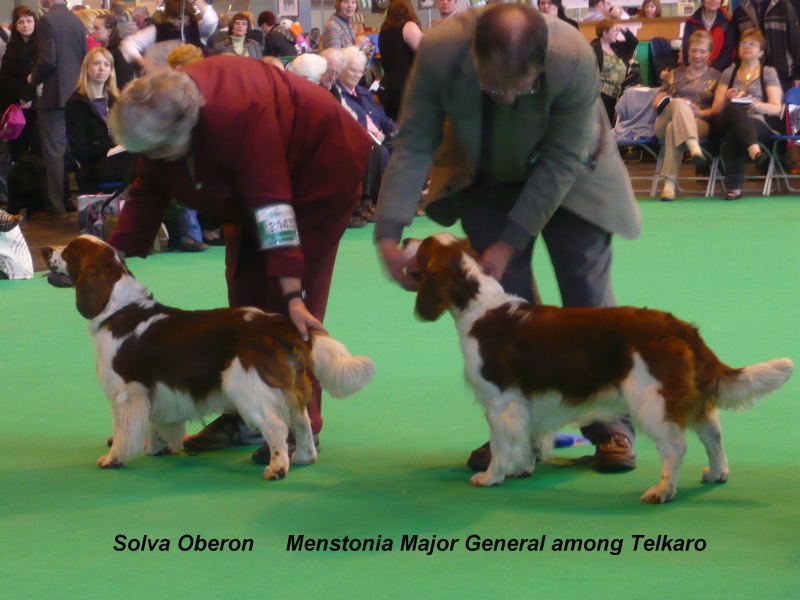 CRUFTS 2010 Winners of Puppy Dog.jpg