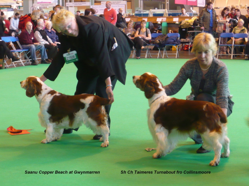 Crufts_2010_Veteran Dog winners.jpg