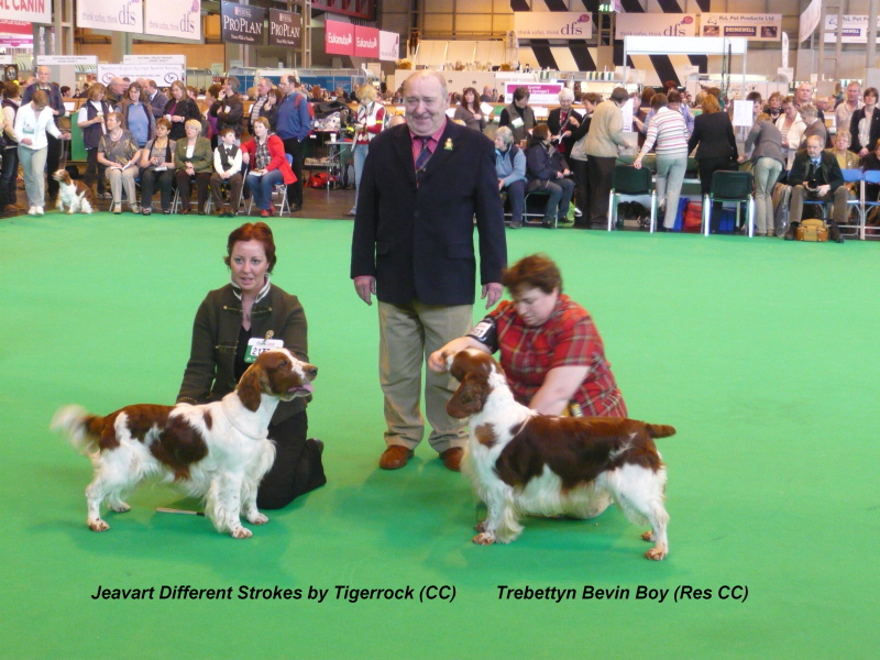 Dog_CC winner&ResCC winner_CRUFTS 2010.jpg