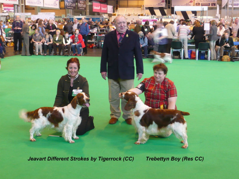 DogCC_winner&ReserveCC_winner_CRUFTS 2010(1).jpg