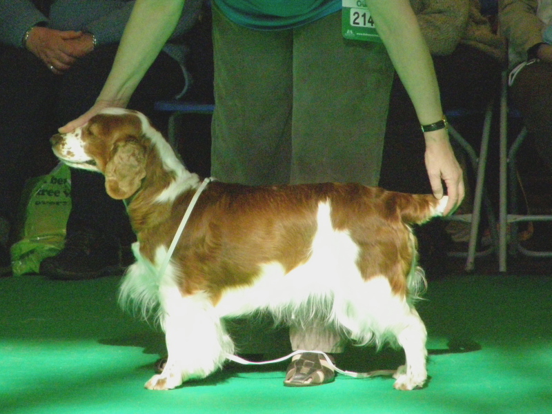 Julita Raskari_Crufts2010.jpg