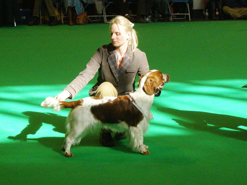 Julita Rezenella_4thJun_Crufts2010.jpg