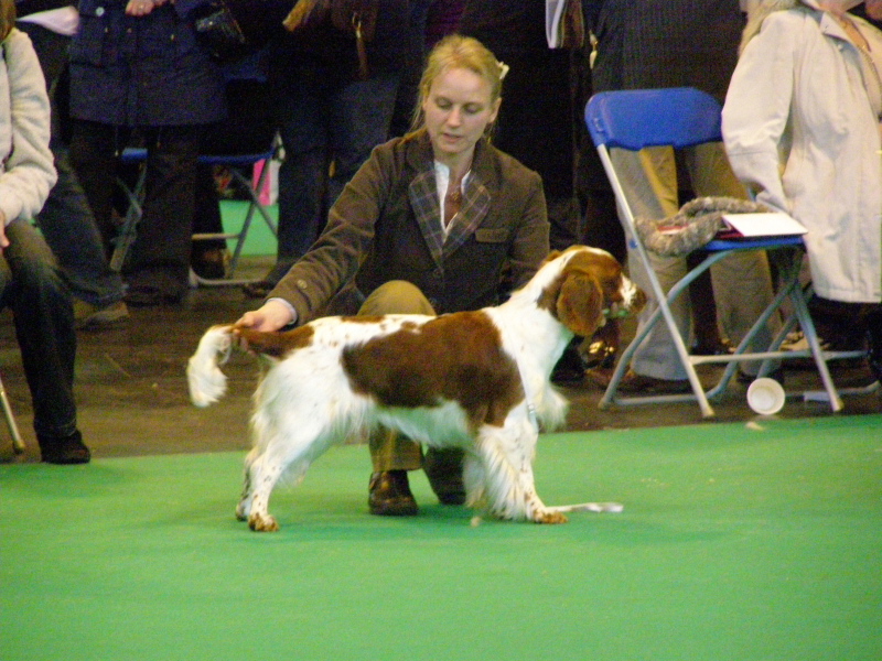 Nell Crufts 2010.jpg