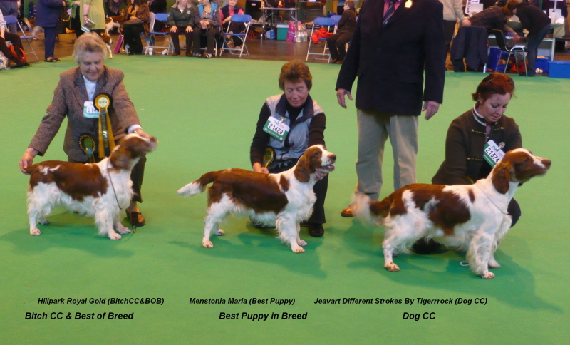 Top_winners_CRUFTS 2010.jpg