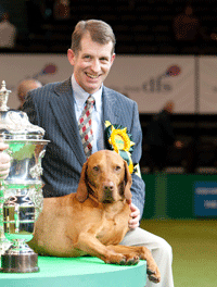 crufts2010BIS.gif