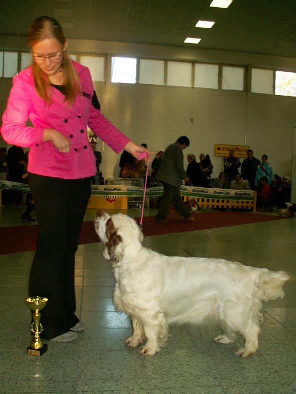 clumber spaniel.jpg