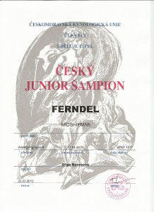 cesky-junior-sampion.jpg