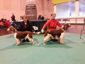 crufts2017.jpg