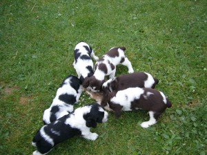 image002.jpg