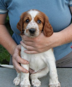 daphne1.jpg
