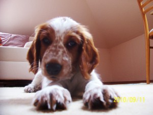 100_3507.jpg
