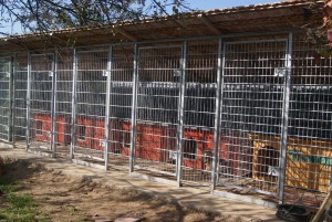 kennel.jpg