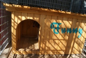 kennel3.jpg