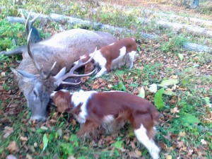 30102010085.jpg