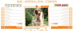 kalendar-aretha.jpg