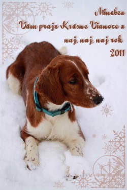christmas_sk-2010.jpg