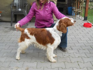 dscn3760.jpg