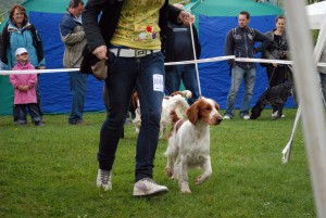 dempsey052011.jpg