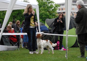 dempsey052011a.jpg