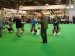 Dylan 4th Limit Crufts 2010.jpg