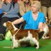 Julita_raskari Crufts_2010.jpg