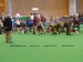 Line_Up_Best_Bitch_CRUFTS 2010.jpg