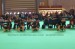 Line_up_Best_Dogs_CRUFTS 2010 01.jpg