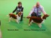 Puppy_bitch_1st&2nd_CRUFTS 2010.jpg